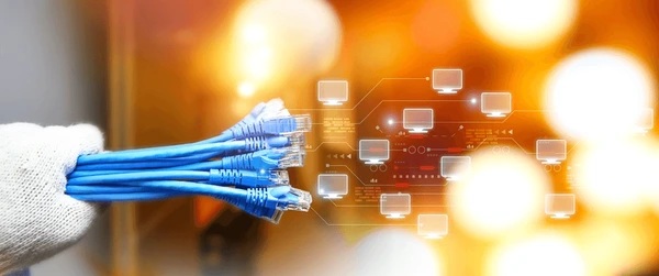 Cat6 Cable Collection